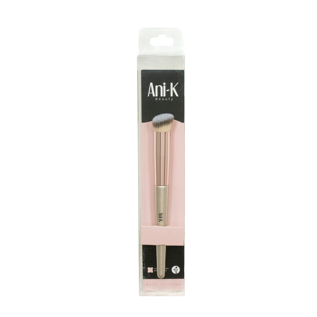 BROCHA CORRECTOR ANIK