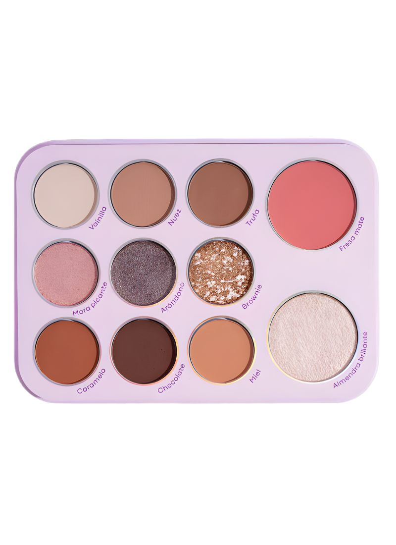 PALETA TODO EN UNO LULA